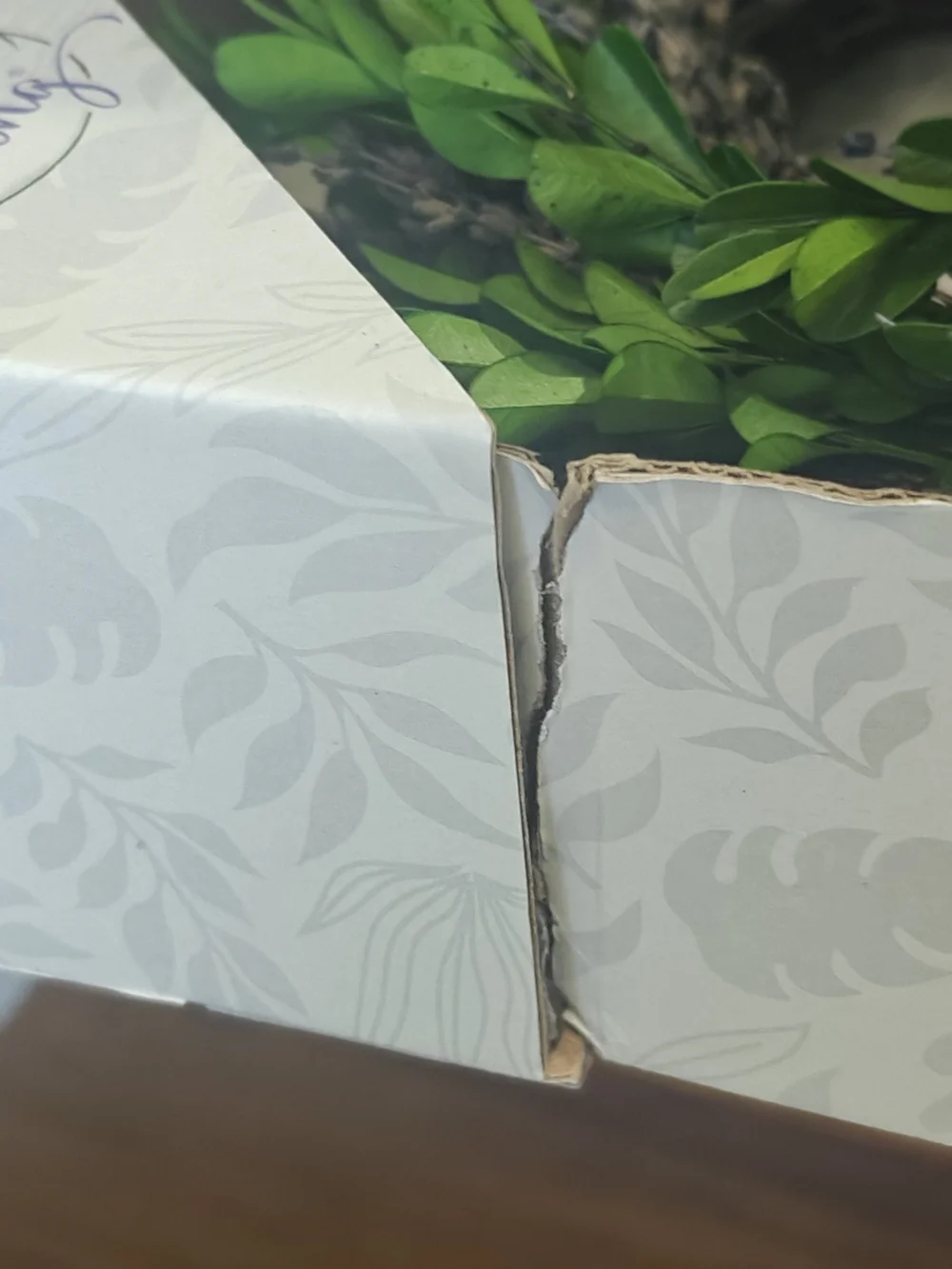 New Floral Living 12